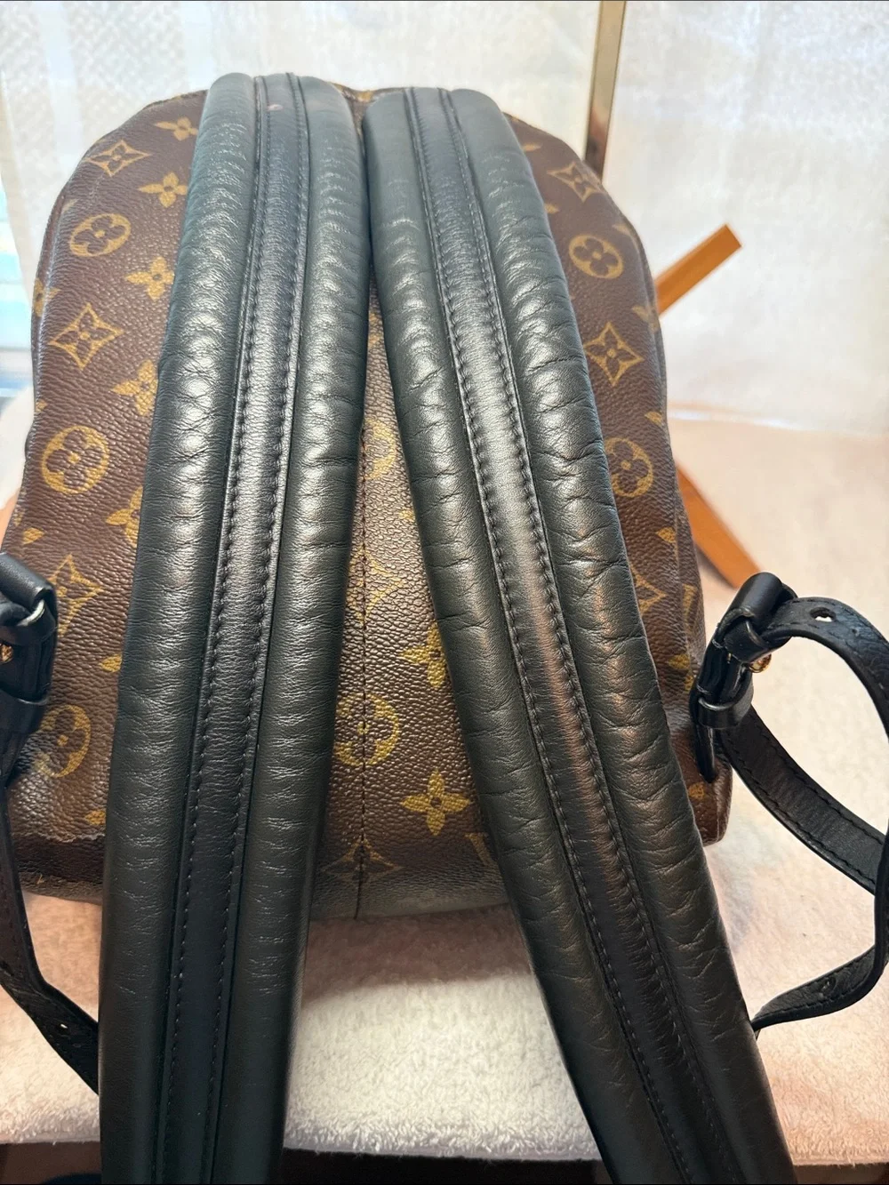 Louis Vuitton Palm Springs Monogram Mini Backpack with Gold Hardware